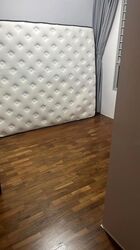 Blk 518 The Premiere @ Tampines (Tampines), HDB 4 Rooms #479383551